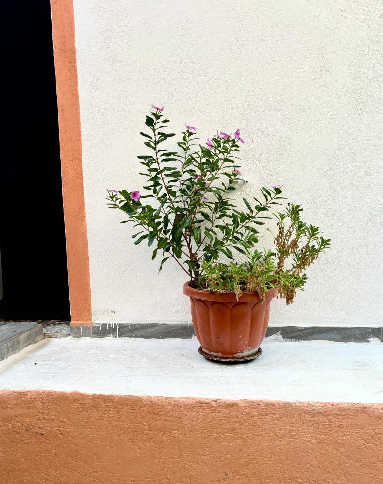 Traditional Corfiot House Perivólion Dış mekan fotoğraf