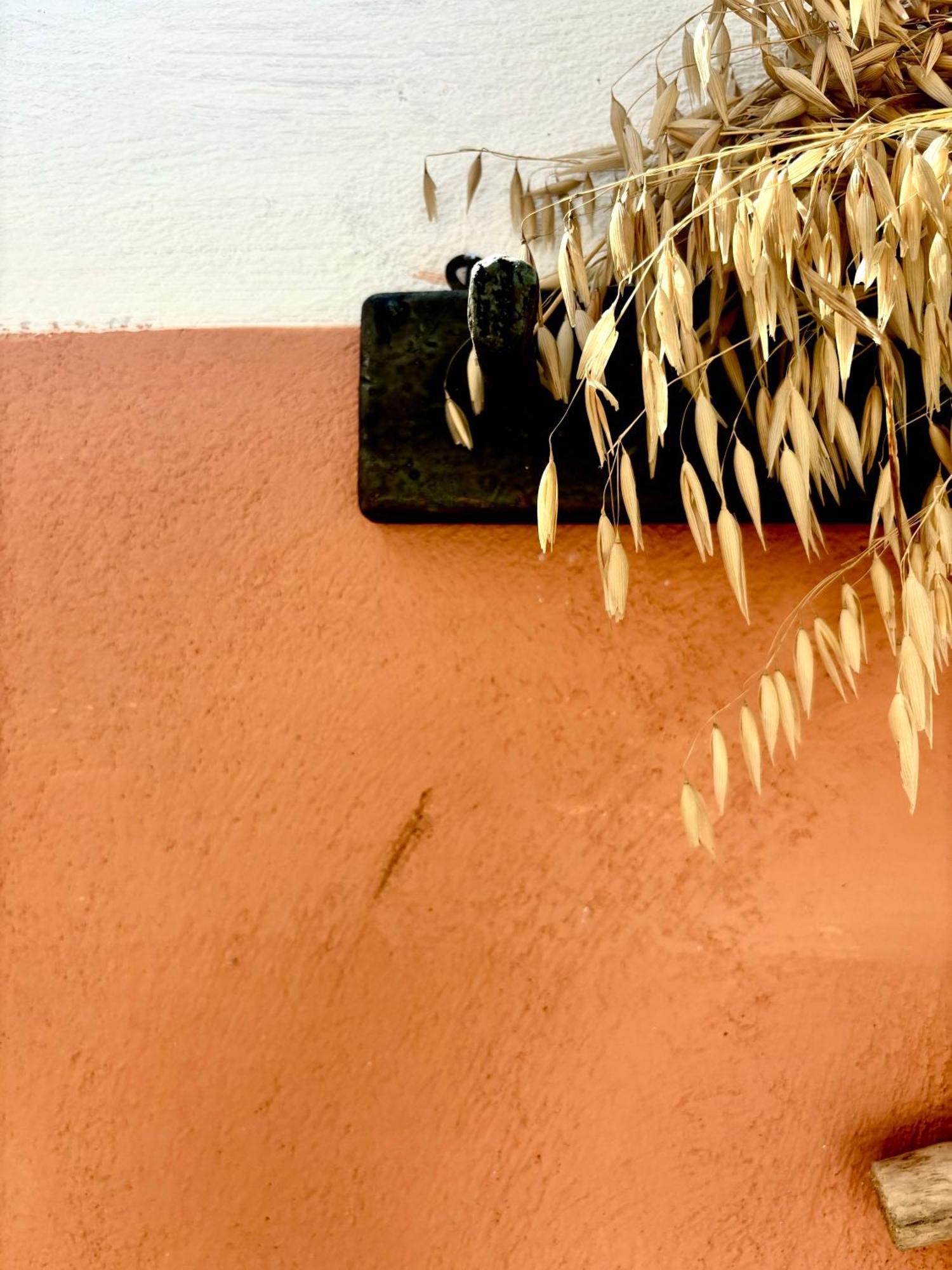 Traditional Corfiot House Perivólion Dış mekan fotoğraf
