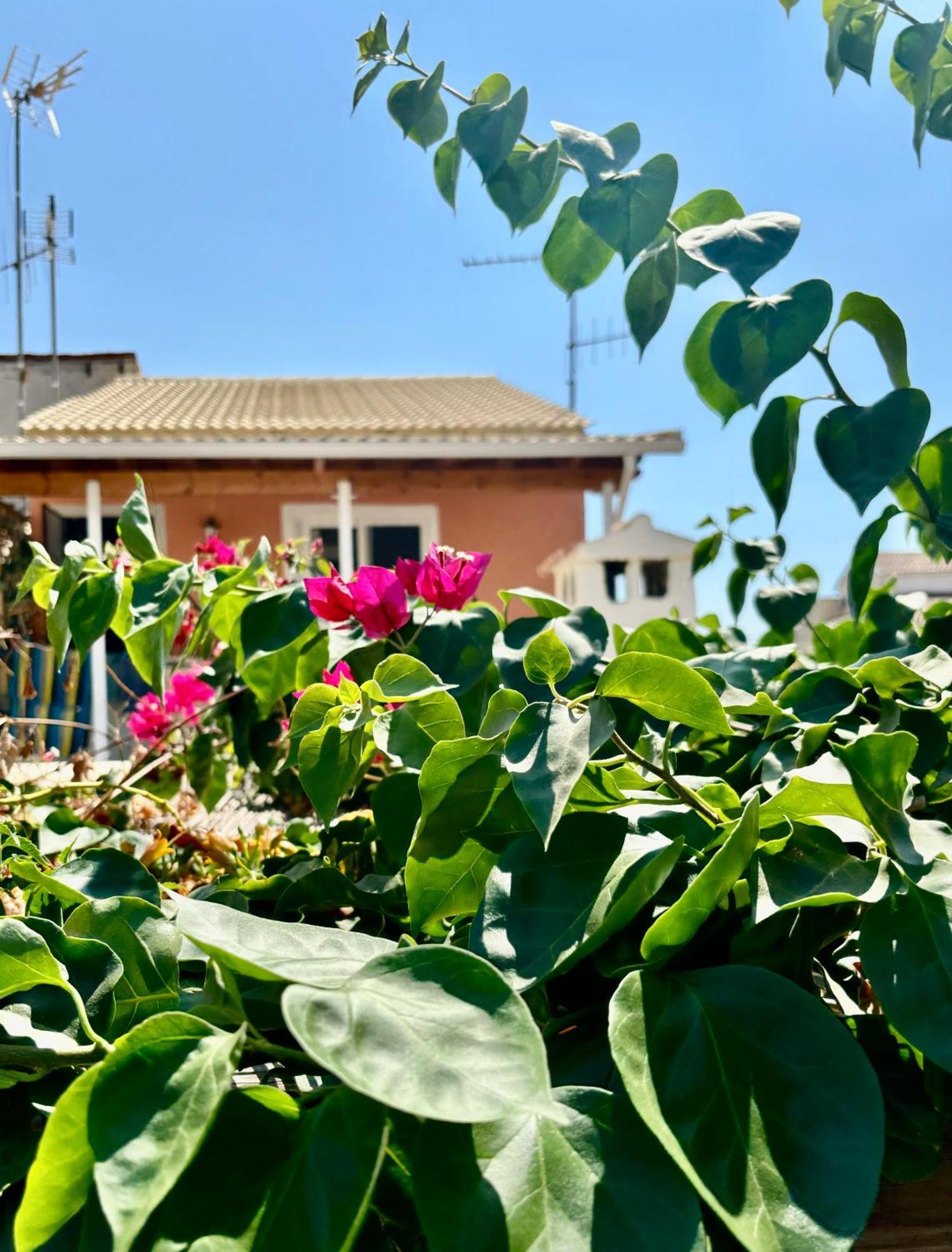 Traditional Corfiot House Perivólion Dış mekan fotoğraf